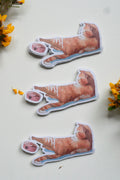 Orange cat vinyl sticker