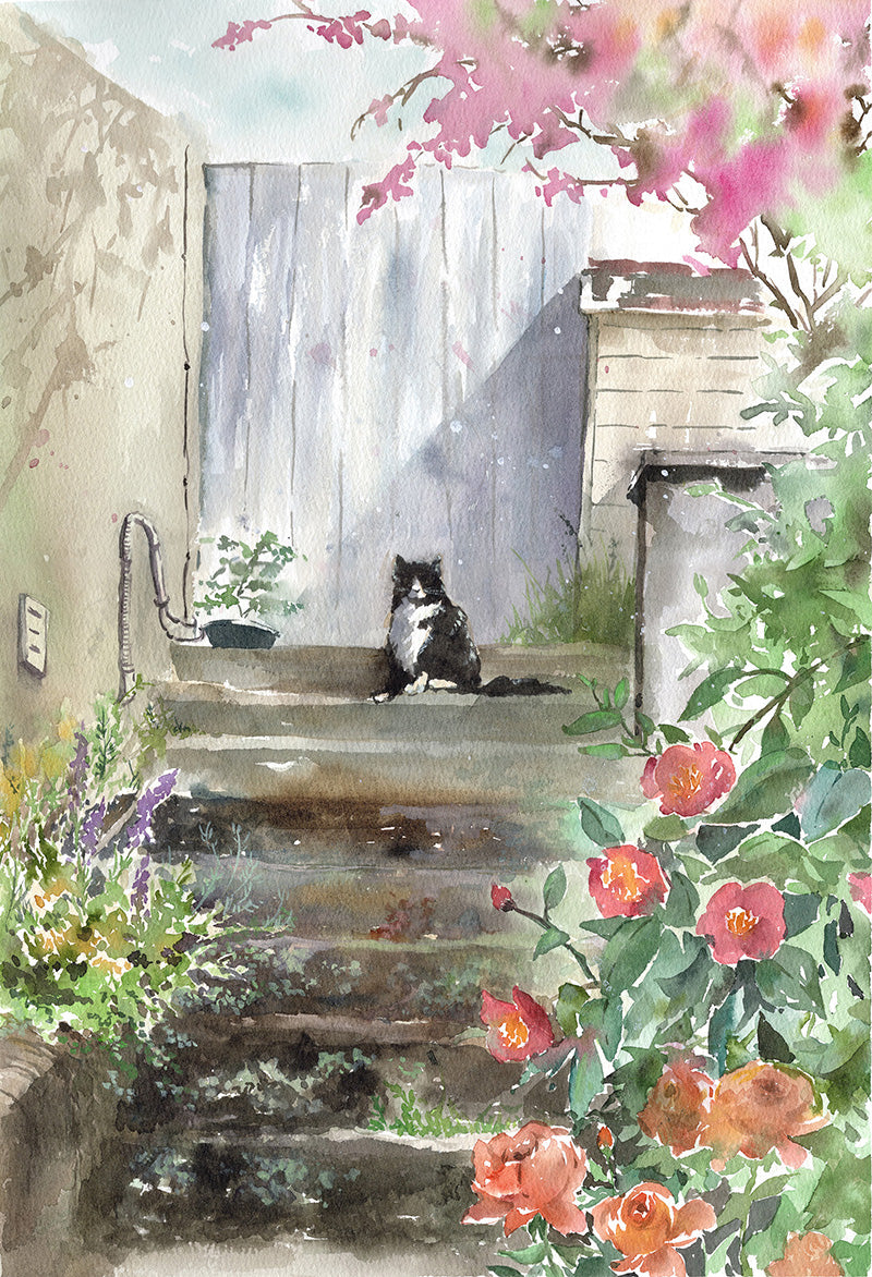 Close-up of the Street Cat in Balmain watercolour painting by Nancy Liu