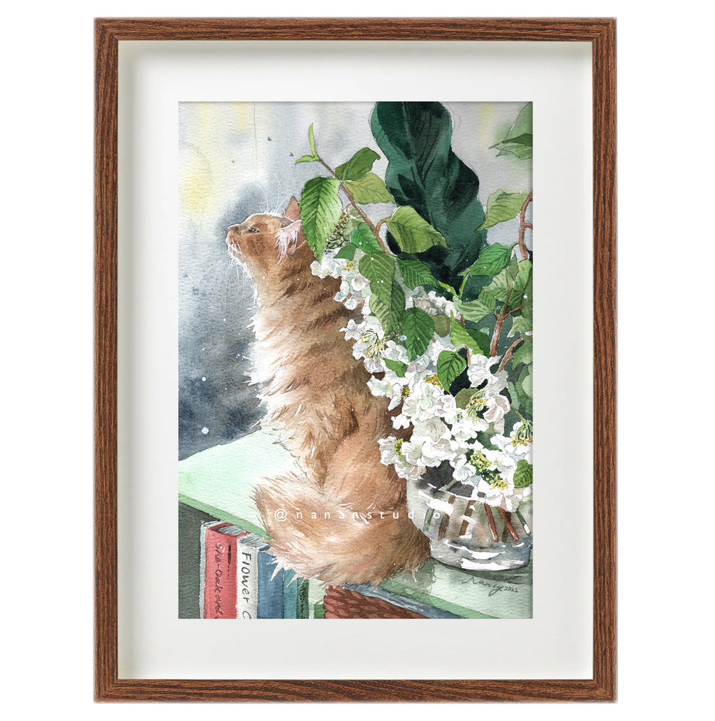 Watercolour print of a ginger cat sitting beside white viburnum flowers