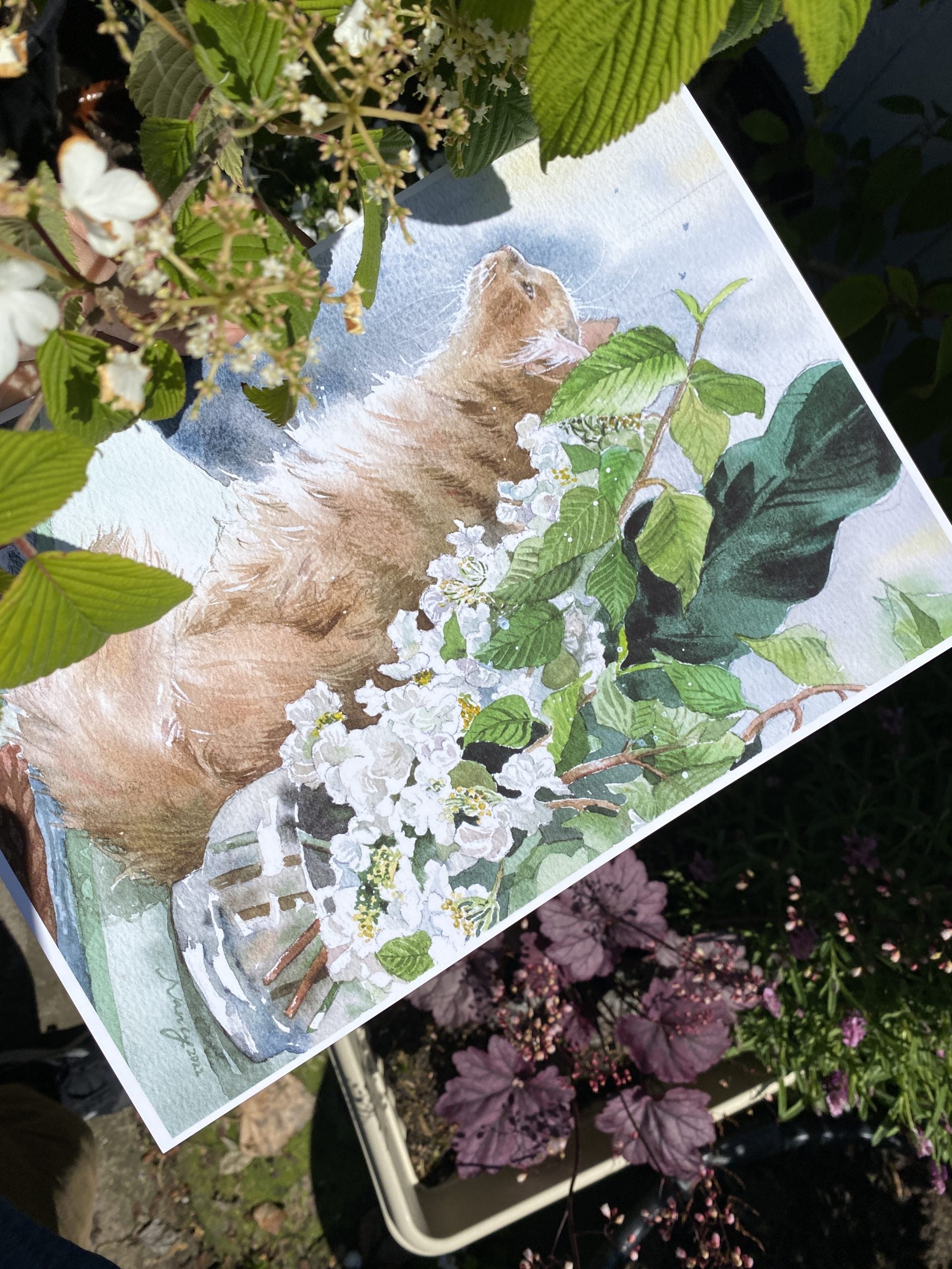 Close-up of the ginger cat in the Sit by the Viburnum Flowers print