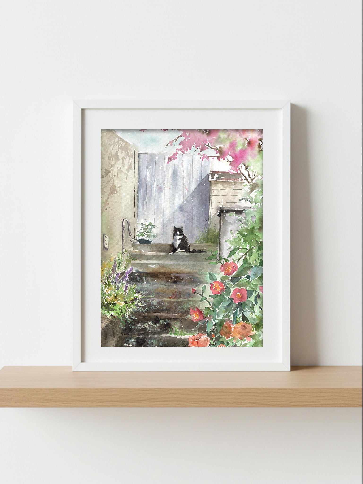 Watercolour print of a tuxedo cat on stone steps among pink camellias in Balmain, Sydney