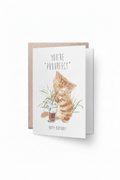 Birthday Kitten Card - Santa Cat Size