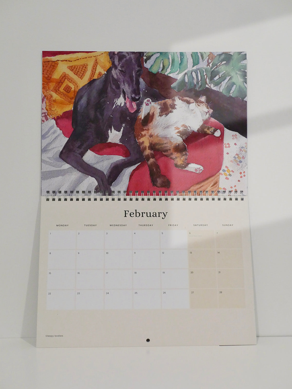 Cat and Home 2027 Wall Calendar | Pre-Order