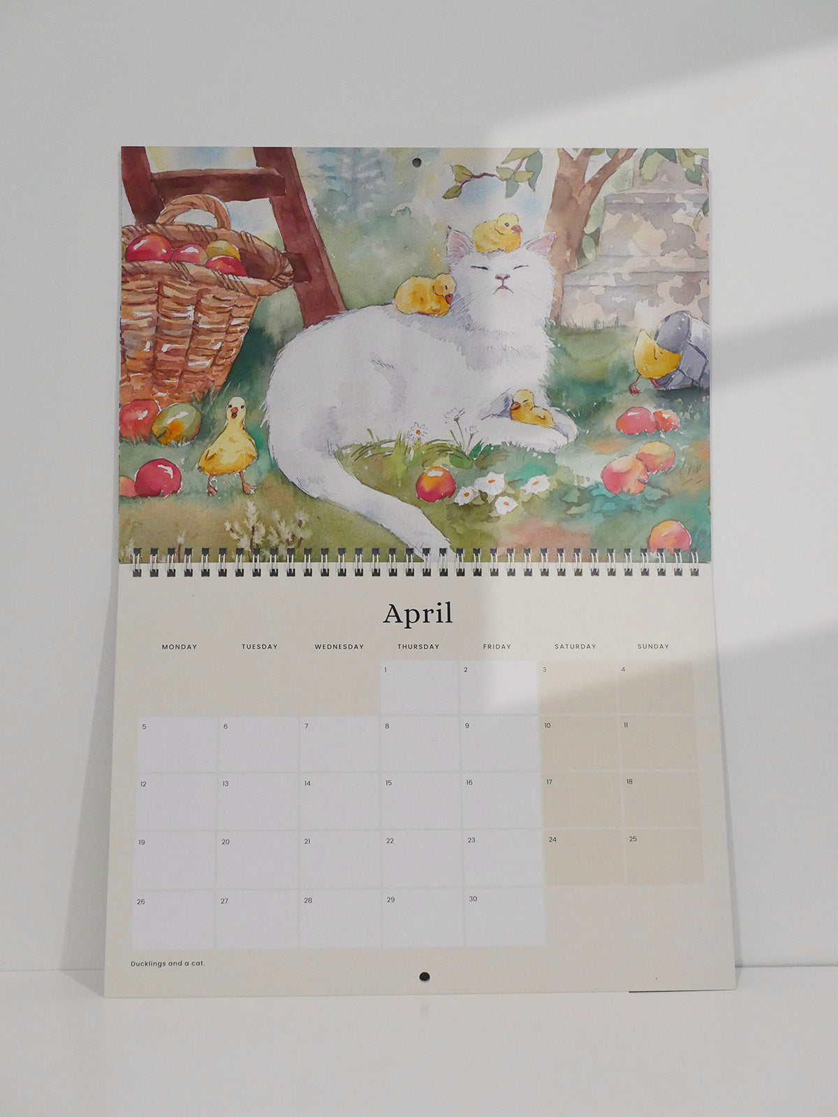 Cat and Home 2027 Wall Calendar | Pre-Order