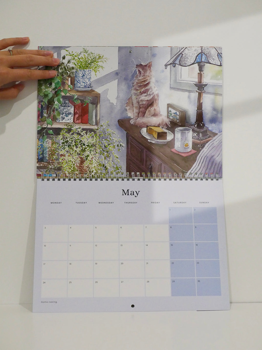Cat and Home 2027 Wall Calendar | Pre-Order