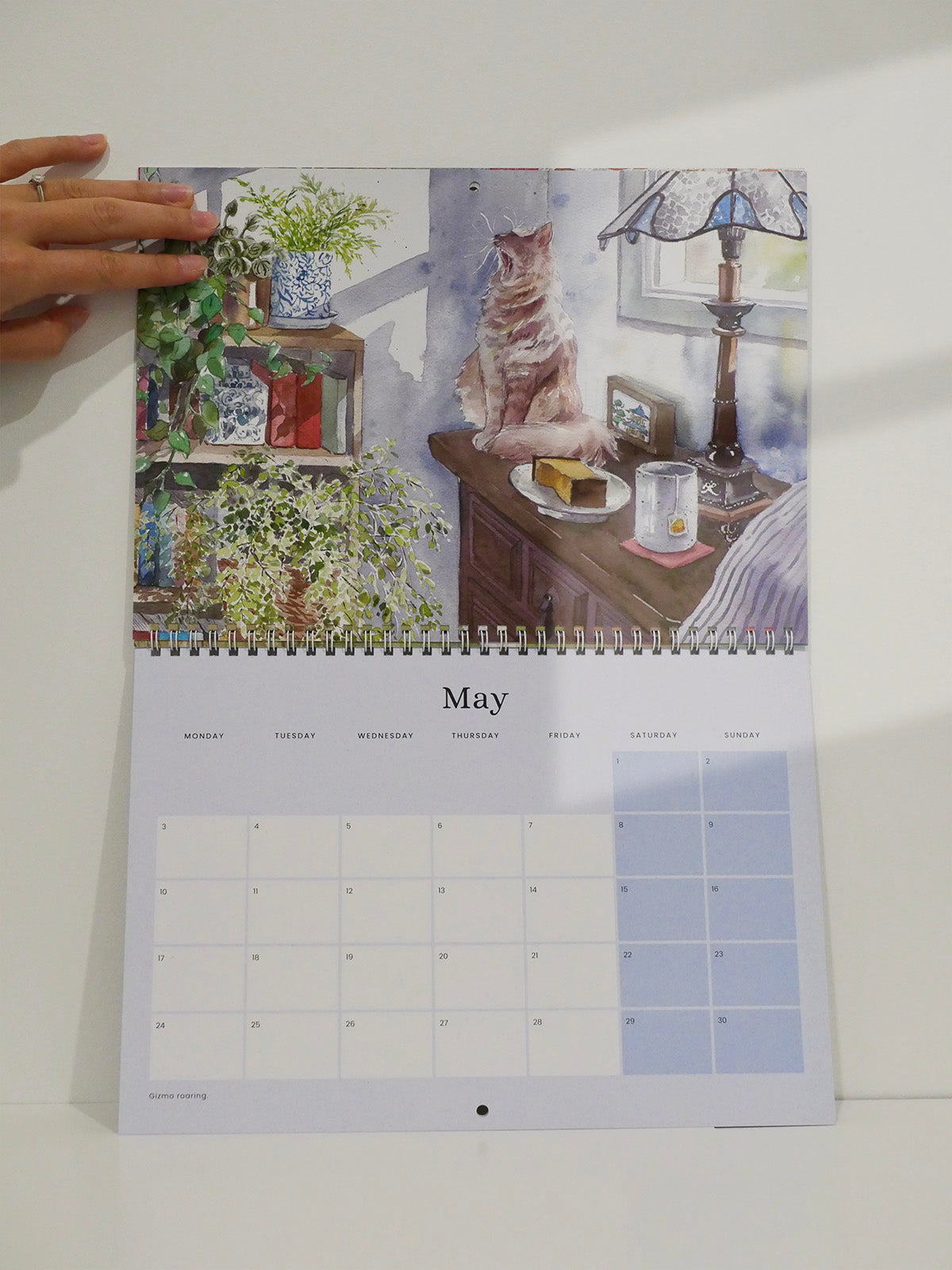 Cat and Home 2027 Wall Calendar | Pre-Order