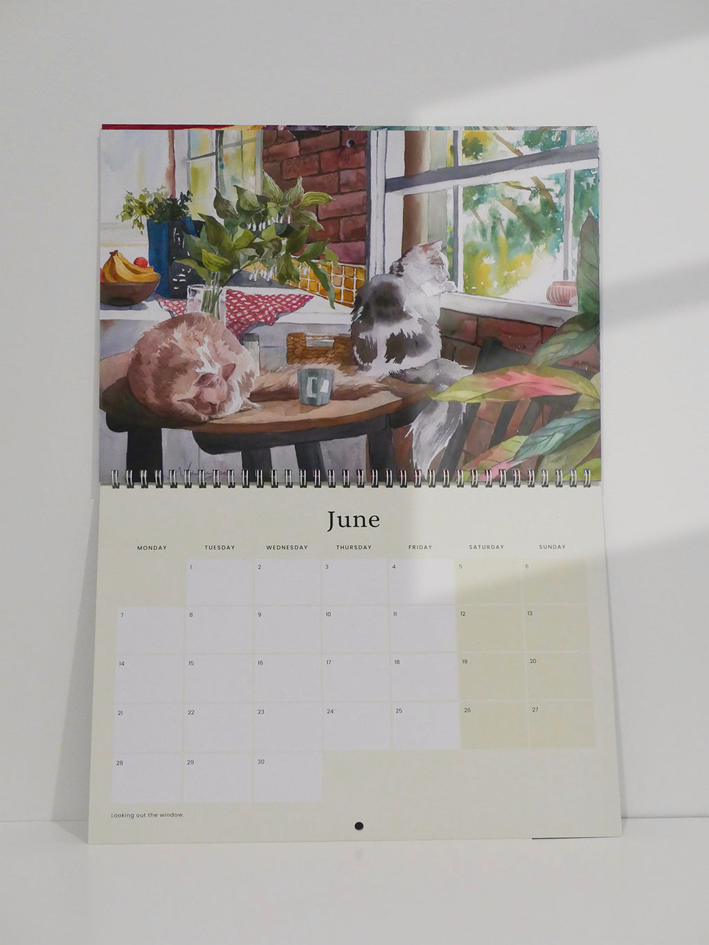 Cat and Home 2027 Wall Calendar | Pre-Order