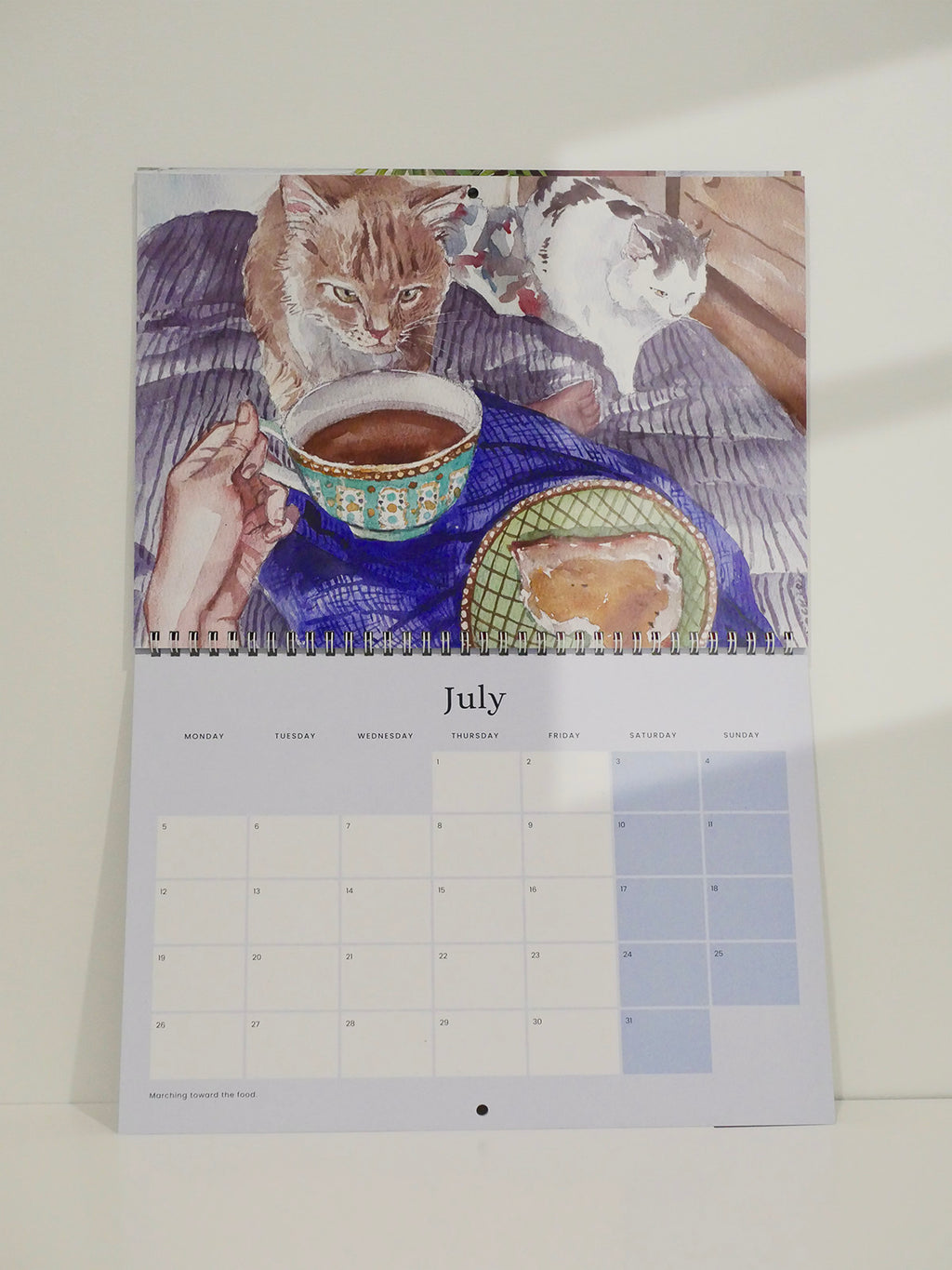 Cat and Home 2027 Wall Calendar | Pre-Order
