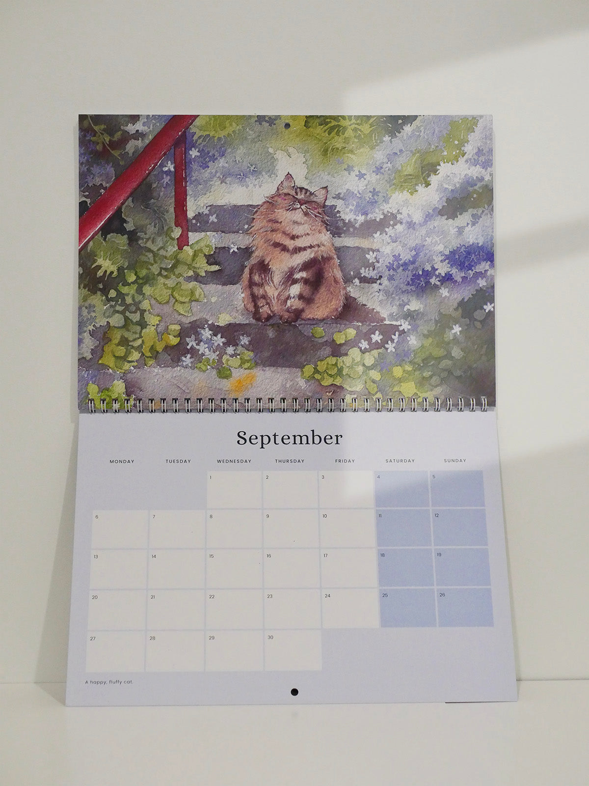 Cat and Home 2027 Wall Calendar | Pre-Order