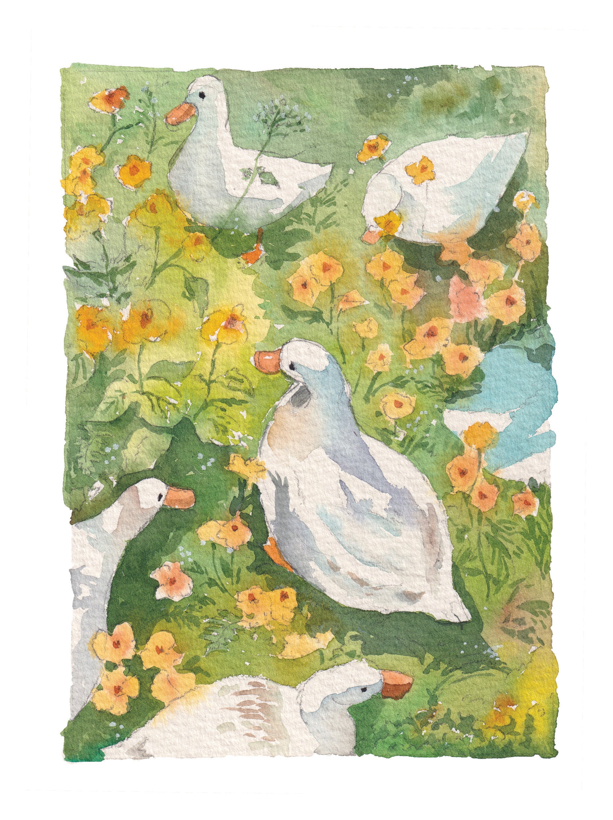 Ducks in the Flowers | Watercolour Art Print