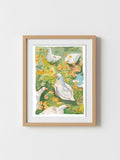 Watercolour print of five white ducks wandering through tall yellow and orange flowers in green grass