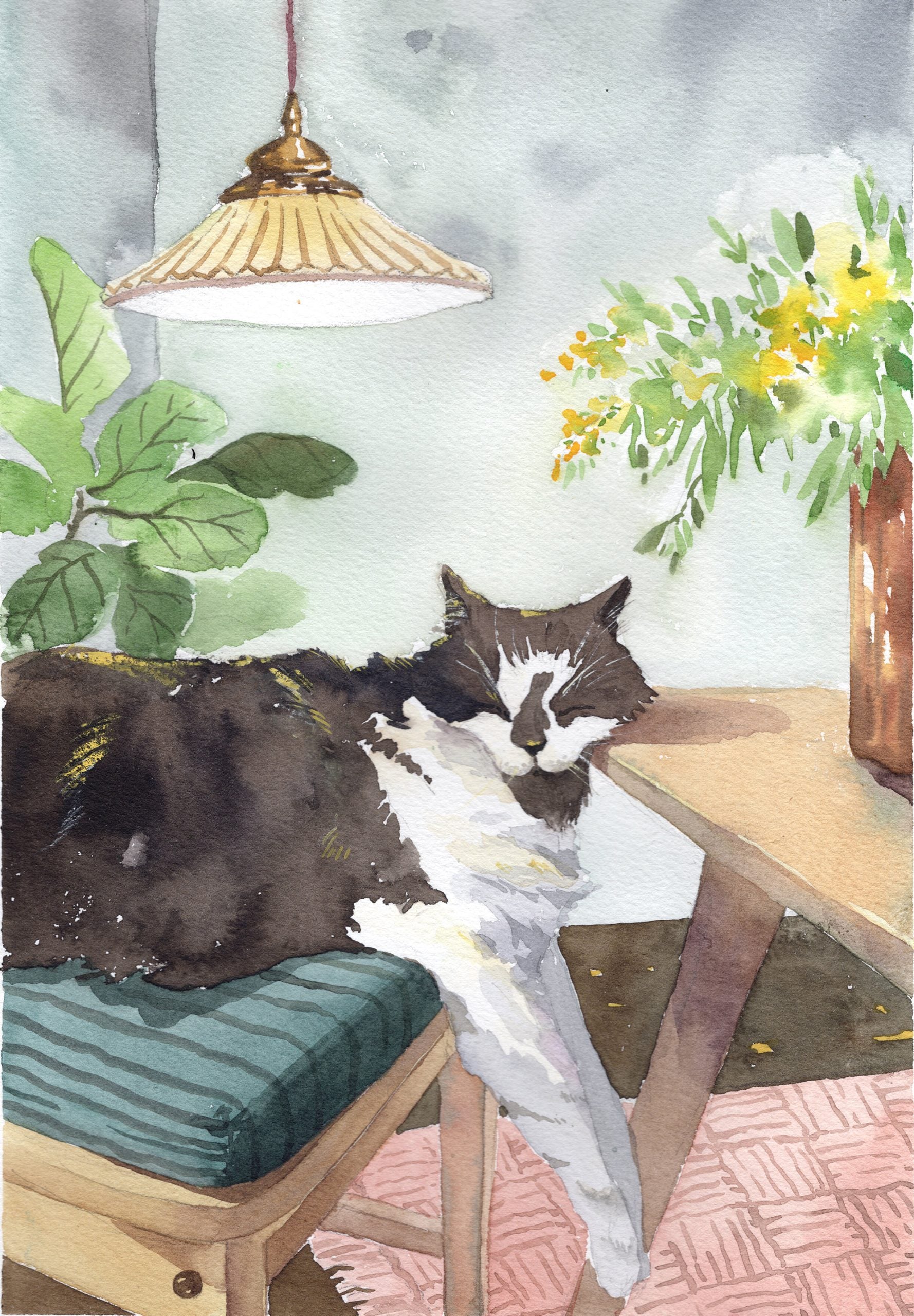 Custom Pet Portrait-do not place order unless discussed with the artist