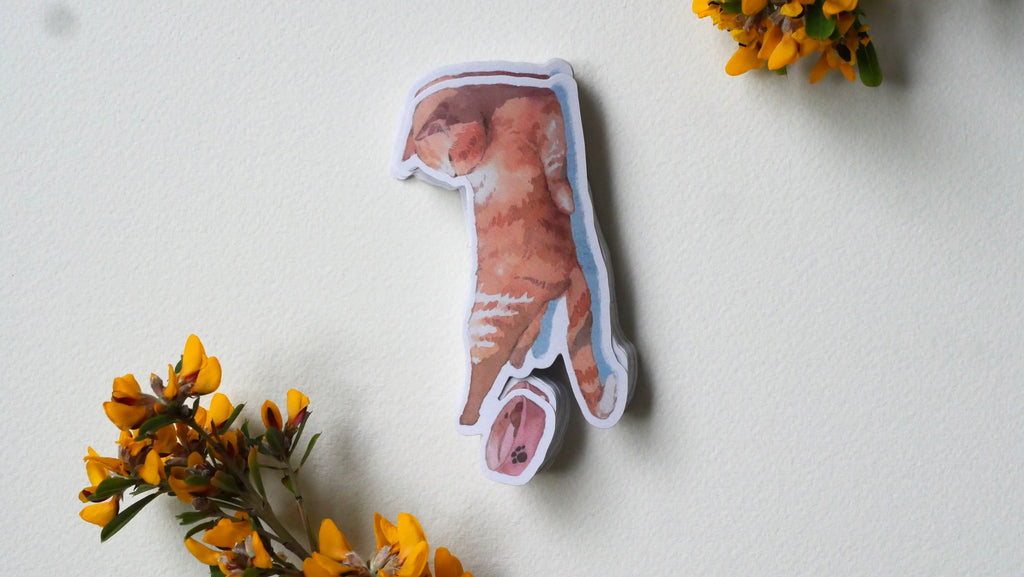 Watercolour sticker of a ginger cat lying down and stretching one paw towards a pink food bowl on a cream background with sprigs of yellow flowers