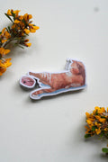 Watercolour sticker of a ginger cat lying down and stretching one paw towards a pink food bowl on a cream background with sprigs of yellow flowers