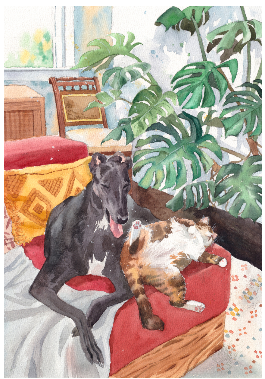 Watercolour print of a greyhound and cat napping together among Monstera leaves