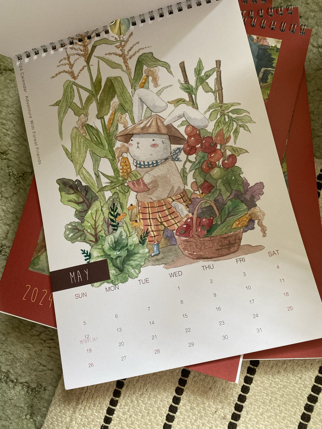 Mr. Otter 2024 Calendar