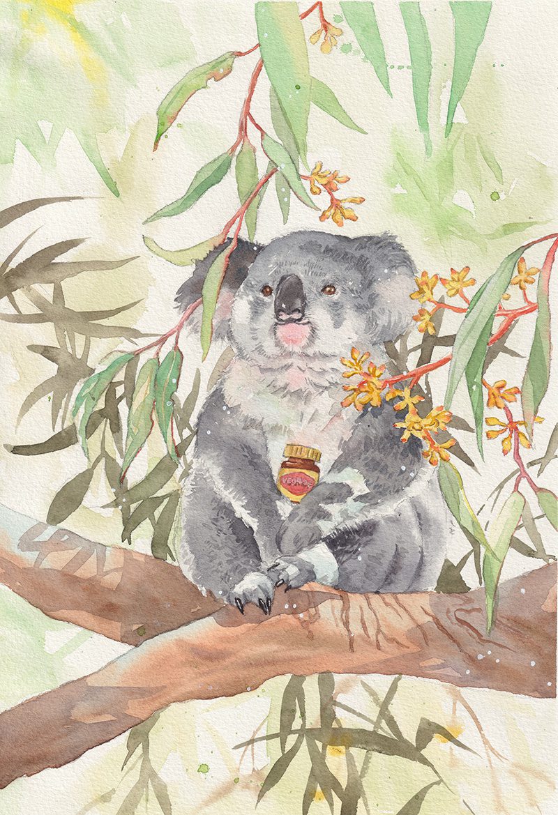 Watercolour Koala-fine art print
