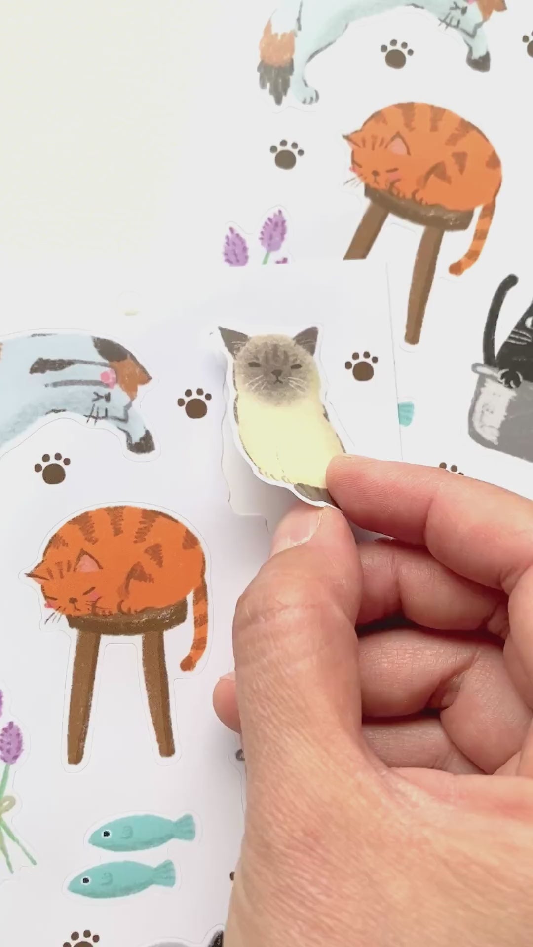 Sticker Sheet-Cat