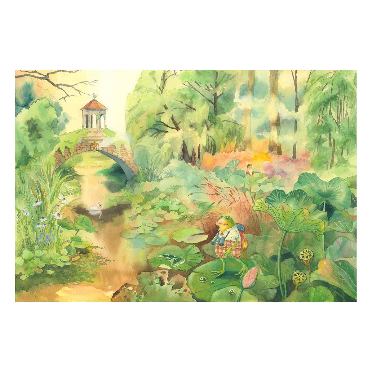 Watercolour illustration of a frog sitting among lily pads in a pond