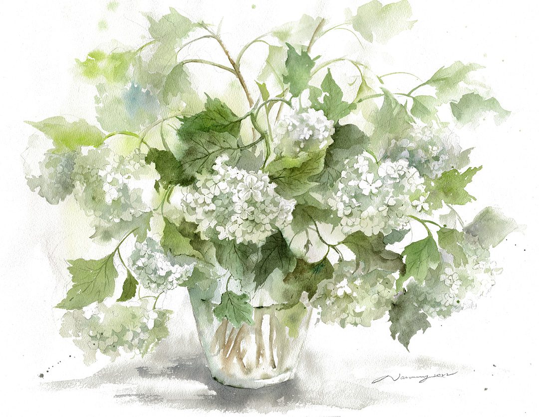 Snowball Hydrangeas Watercolour Art Print