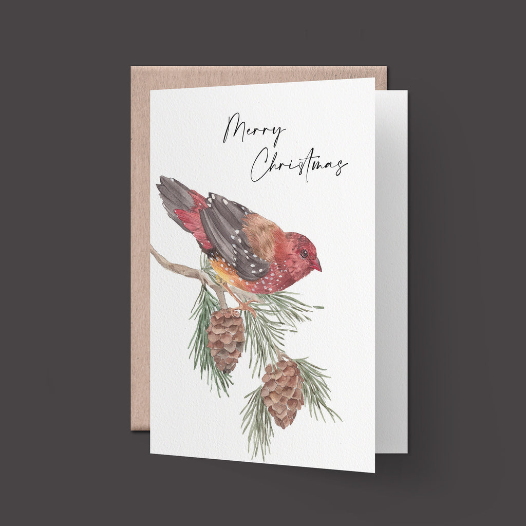 Christmas card, Strawberry finch and pine tree leaves